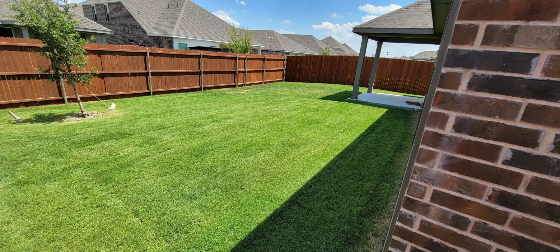 Thick, weed-free fenced backyard lawn in Saginaw TX after a Watson fertilization program