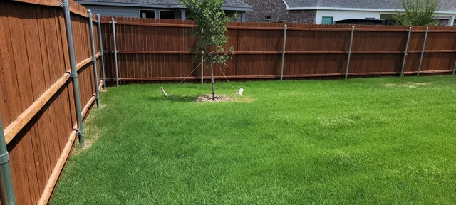 Fenced backyard lawn mowed and trimmed in Haslet TX