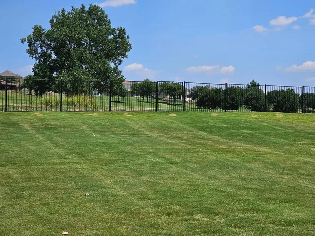 Large backyard lawn mowed and edged in Haslet TX