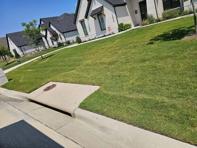 Freshly cut lawn along a driveway in Haslet TX